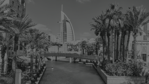 United Arab Emirates (UAE)